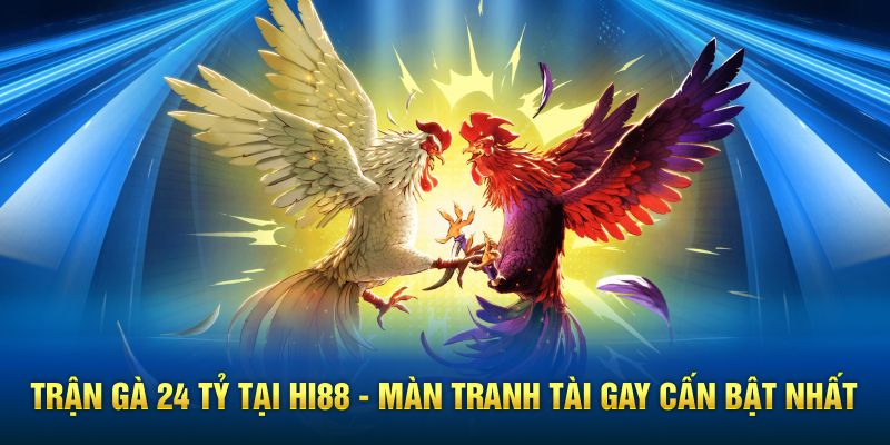 Hi88 tường thuật trận gà 24 tỷ online